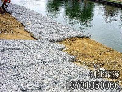 雷諾護墊